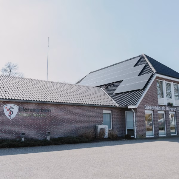Dierenartsen Midden Brabant