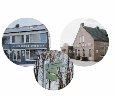 Dierenartsen Midden Brabant